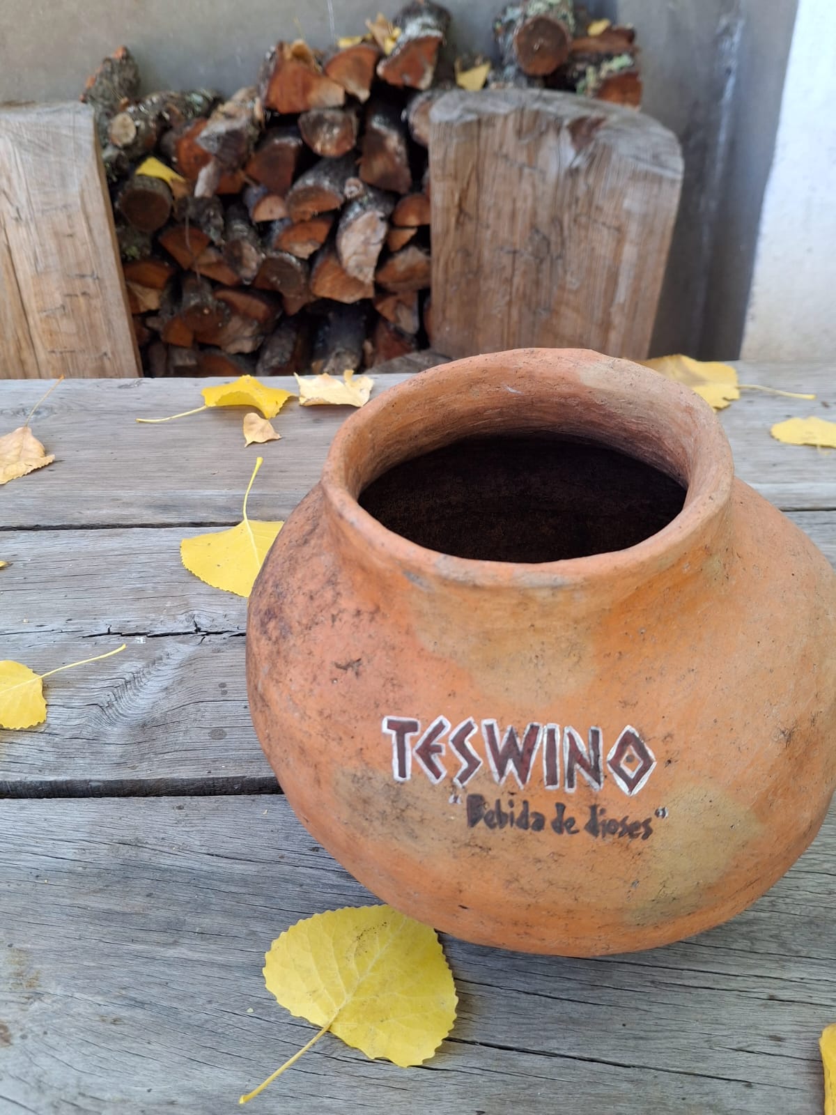 TESWINO BEBIDA DE LOS DIOSES